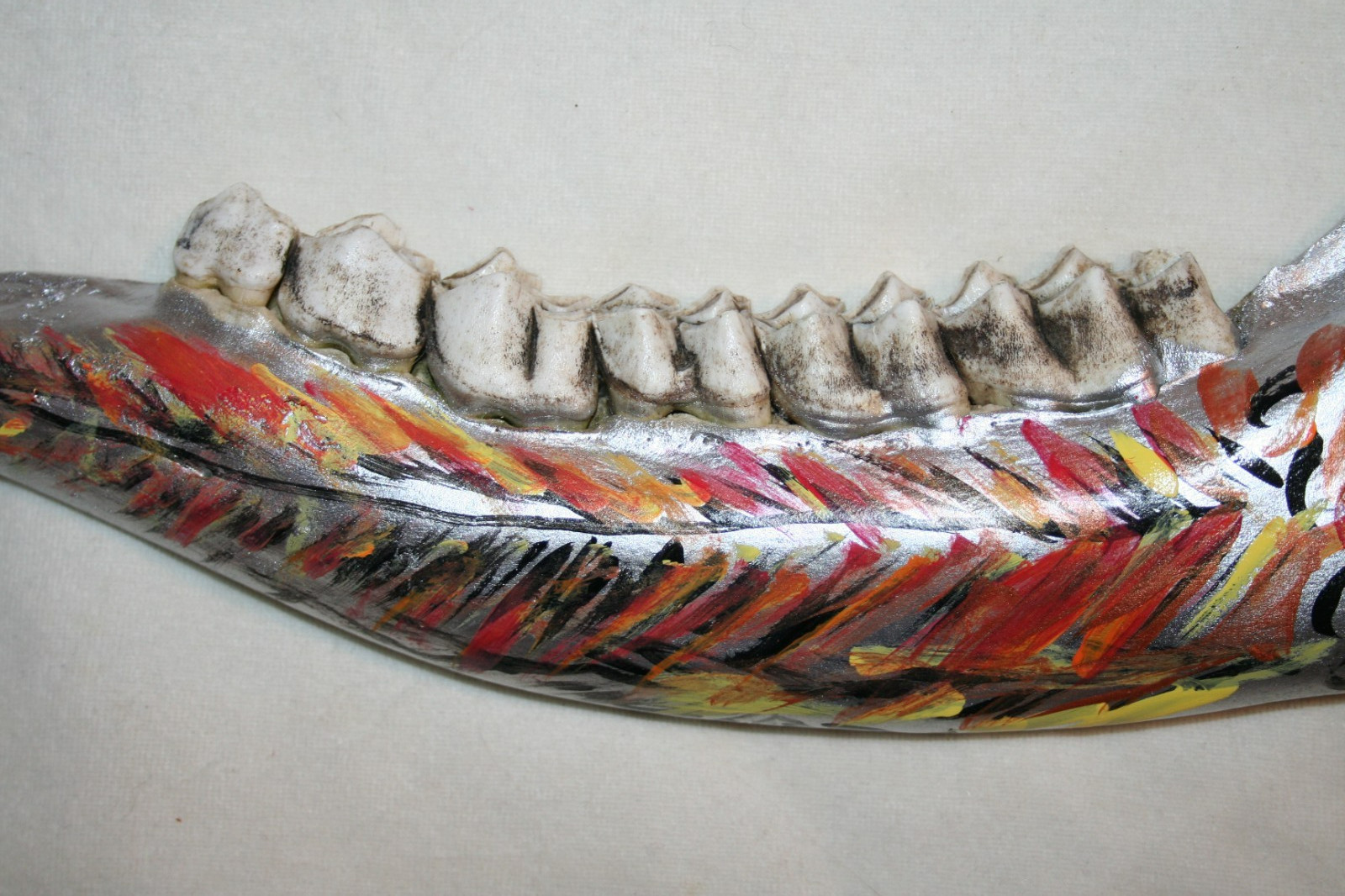 TAXIDERMY BIRD PAINTED MOOSE JAWBONE JR CHARLIE FAST PAINTED OUTSIDER FOLK ART