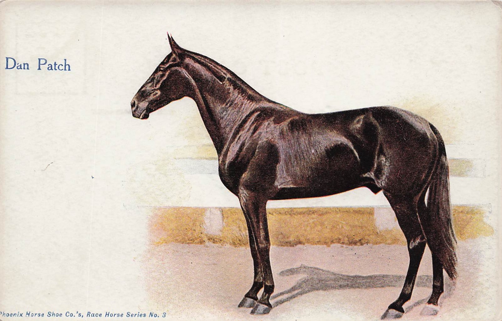 Phoenix Horse Shoe Company Advertising Dan Patch Pacing Stallion Postcard 25A