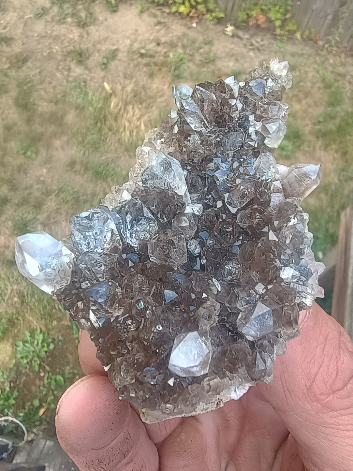 Herkimer 💎Perchers On 🖤 Smokey Druze Plate (Rare Piece) Miner Direct ⚒️
