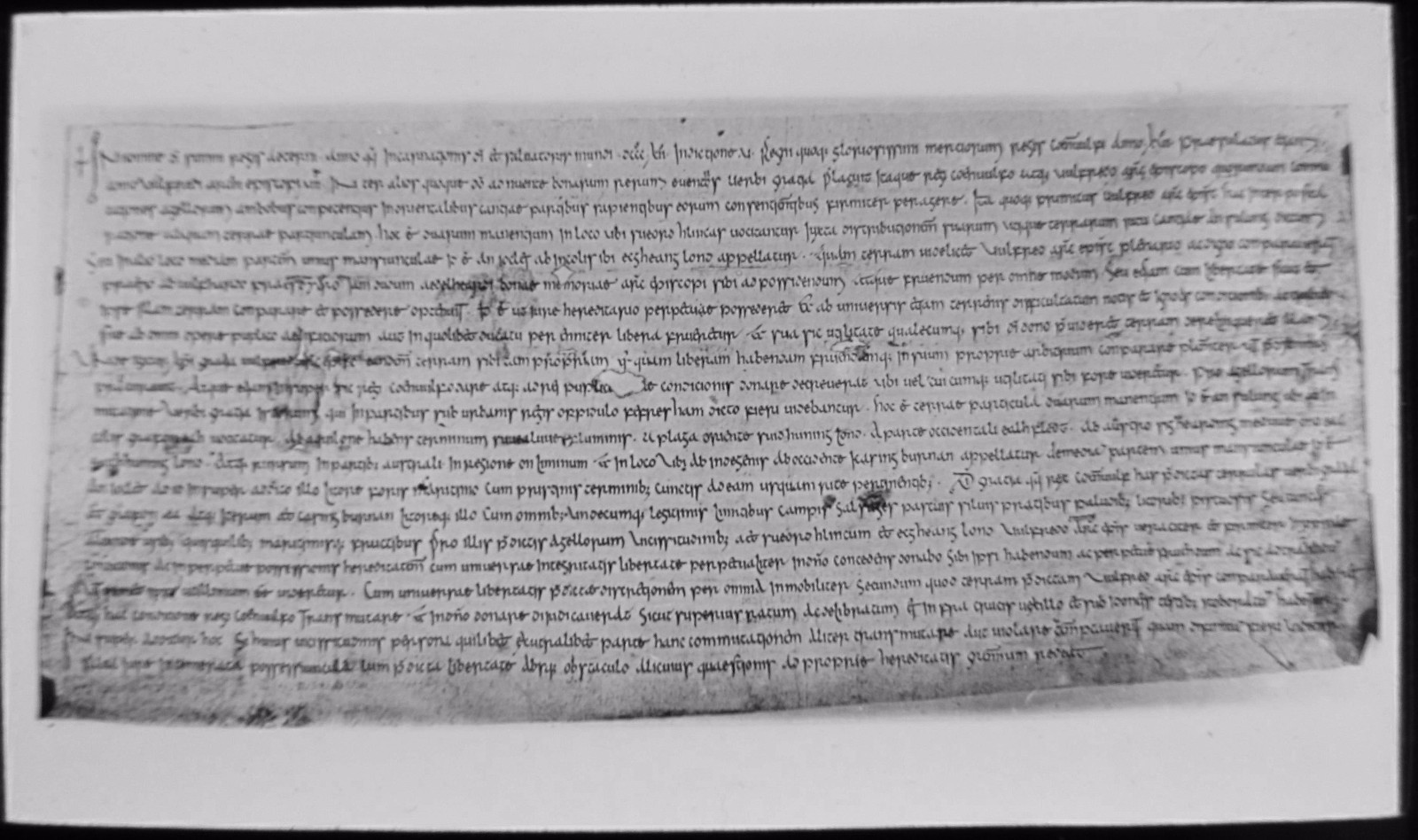 Glass Magic Lantern Slide DEED OF PEERAGE C1890 PHOTO