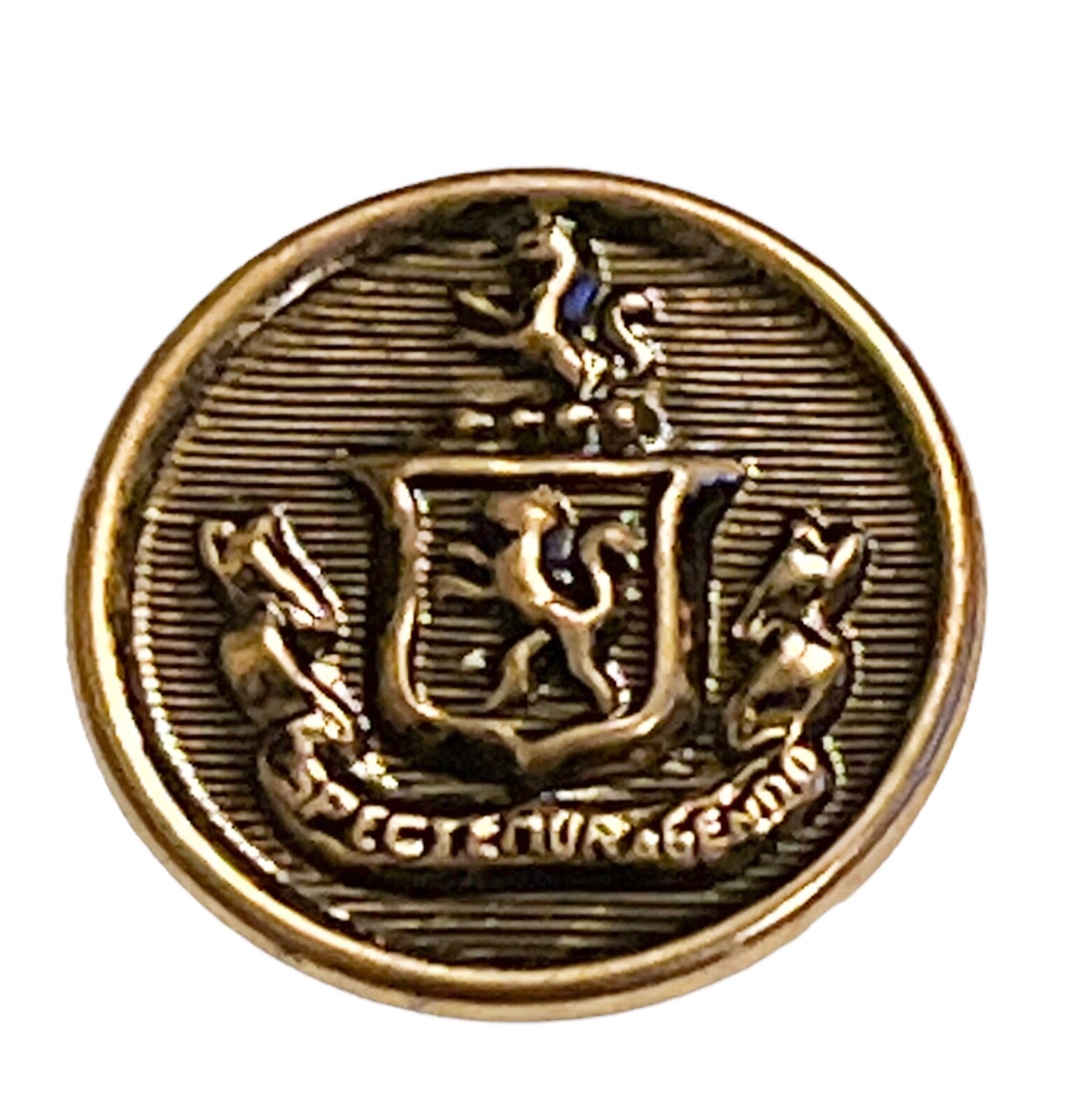 VTG U.S. Military Brass Spectemur Agendo Lion Crest Button