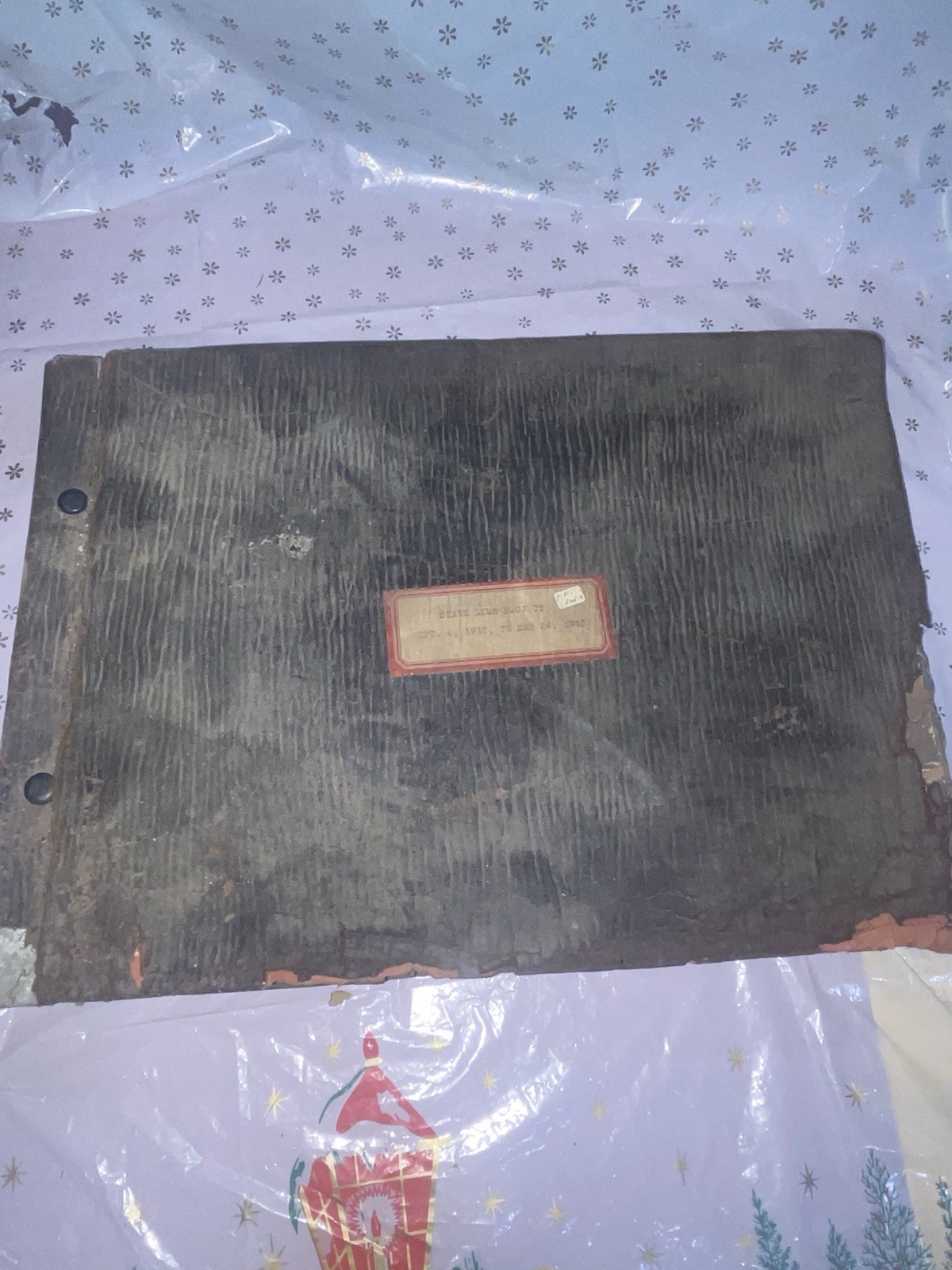 Vintage Photo Album State Line Project Pennsylvania 1912-1913