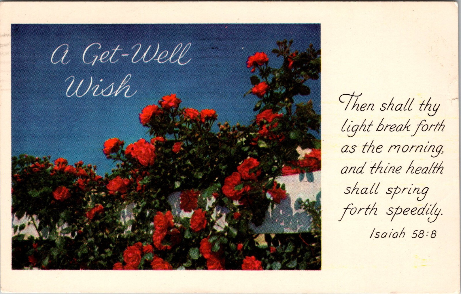 Vintage Postcard A get Well Wish Climbing Roses Bible Message CRG