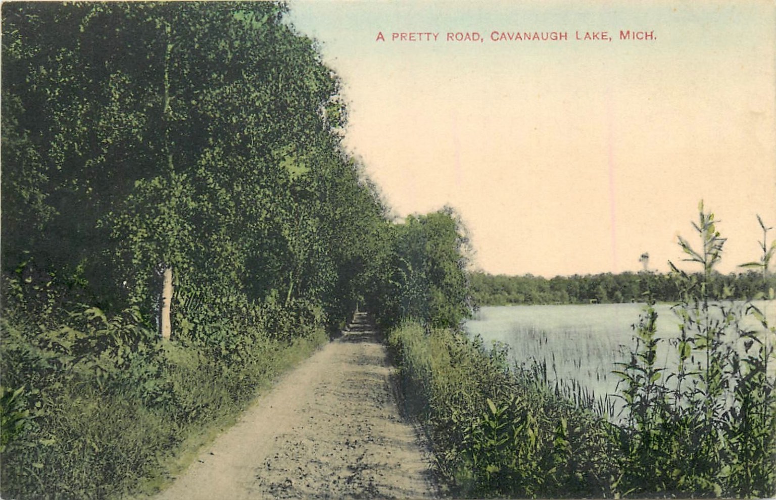 Cavanaugh Lake Michigan A Pretty Road Divided Back Postcard c1910s Hand Colored