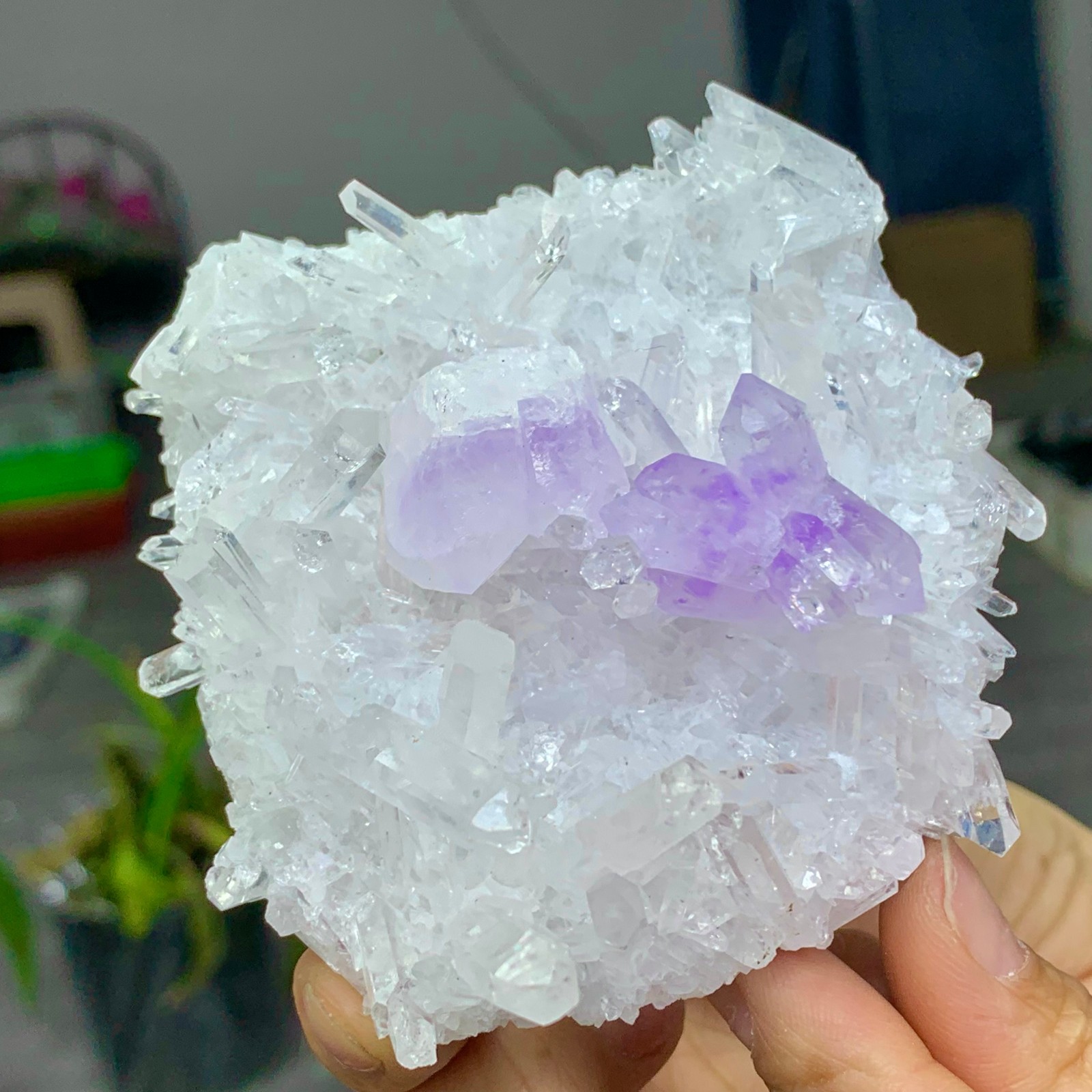 214G Natural Transparent Chrysanthemum crystal Cluster with Amethyst Specimen