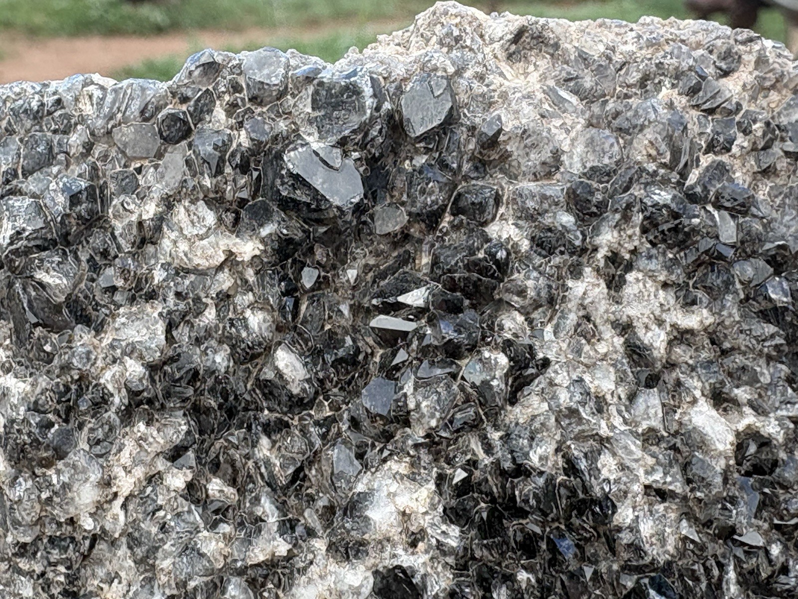 ☘️RR⛏️: Dark Smoky Crystals, Arizona Petrified Wood, 2.5 Lb