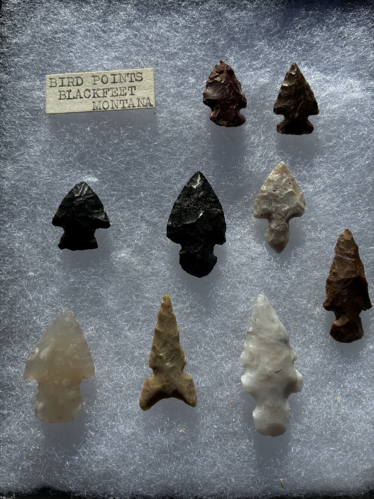 Bird Points Blackfeet Montana Arrowheads