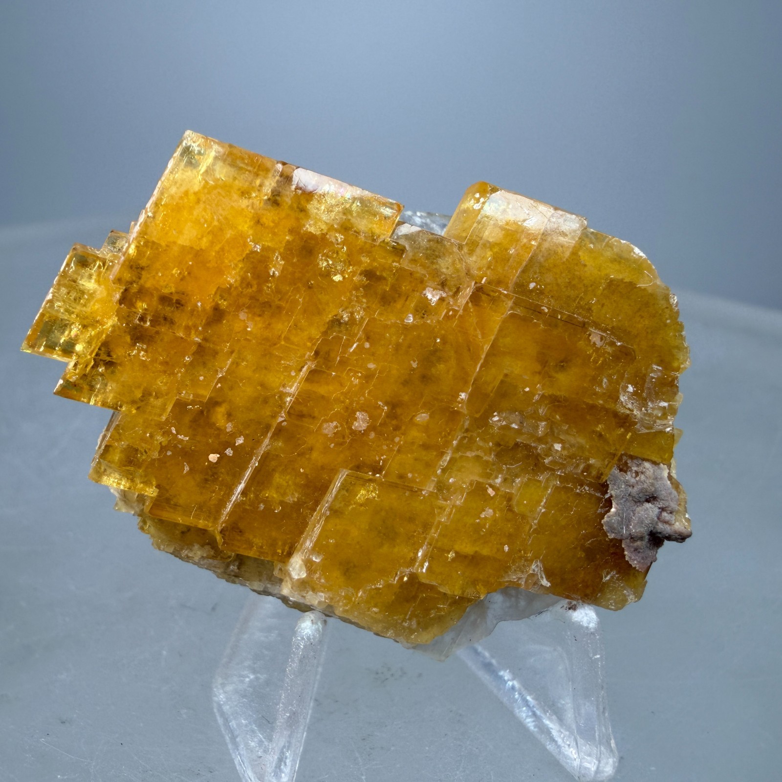 Fine Golden Baryte Crystals: Sherman Tunnel, Leadville, Lake County, Colorado