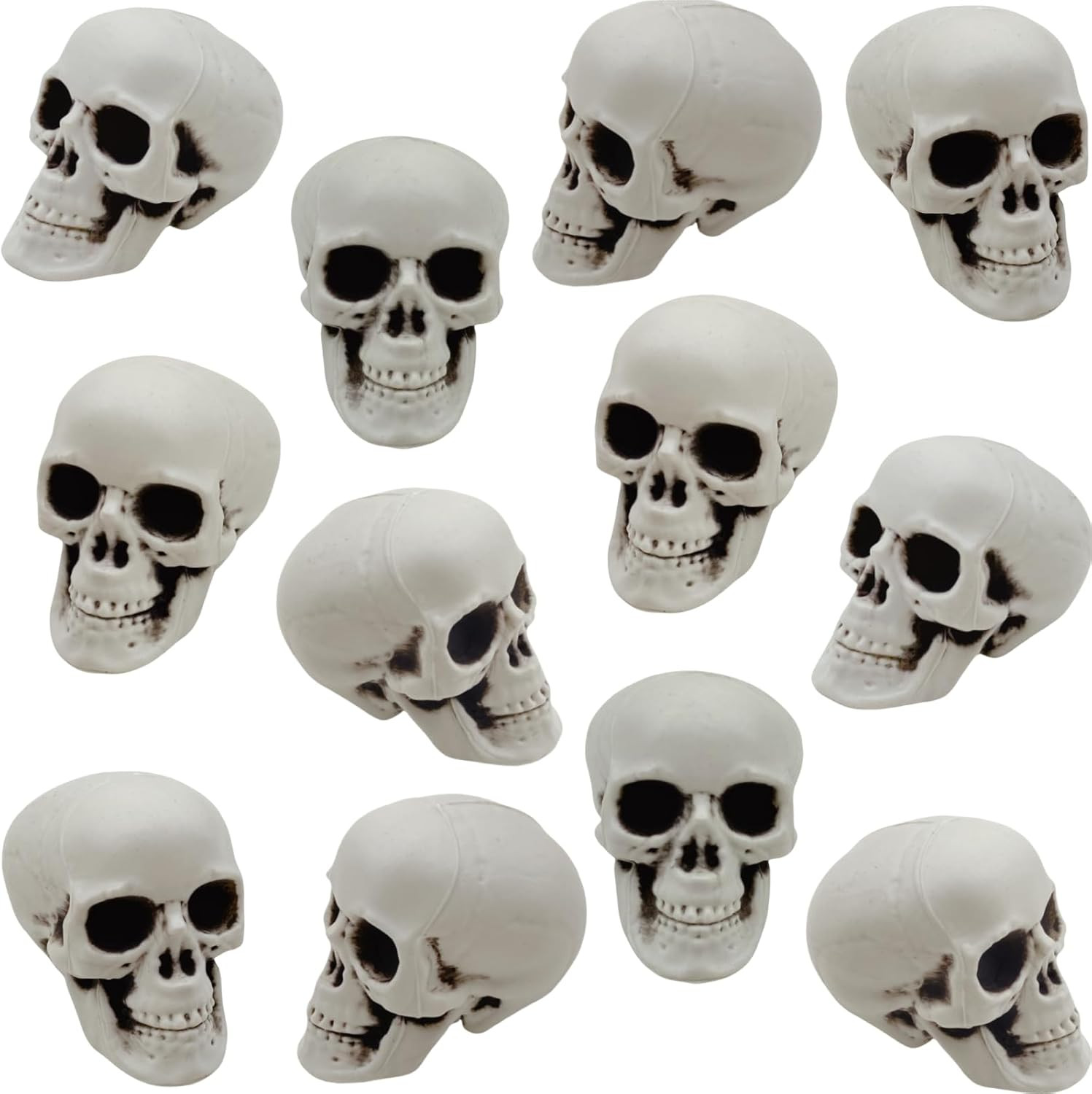 12 Pcs Mini Skull Heads 2.4 Inch Skeleton Skulls for Decorations