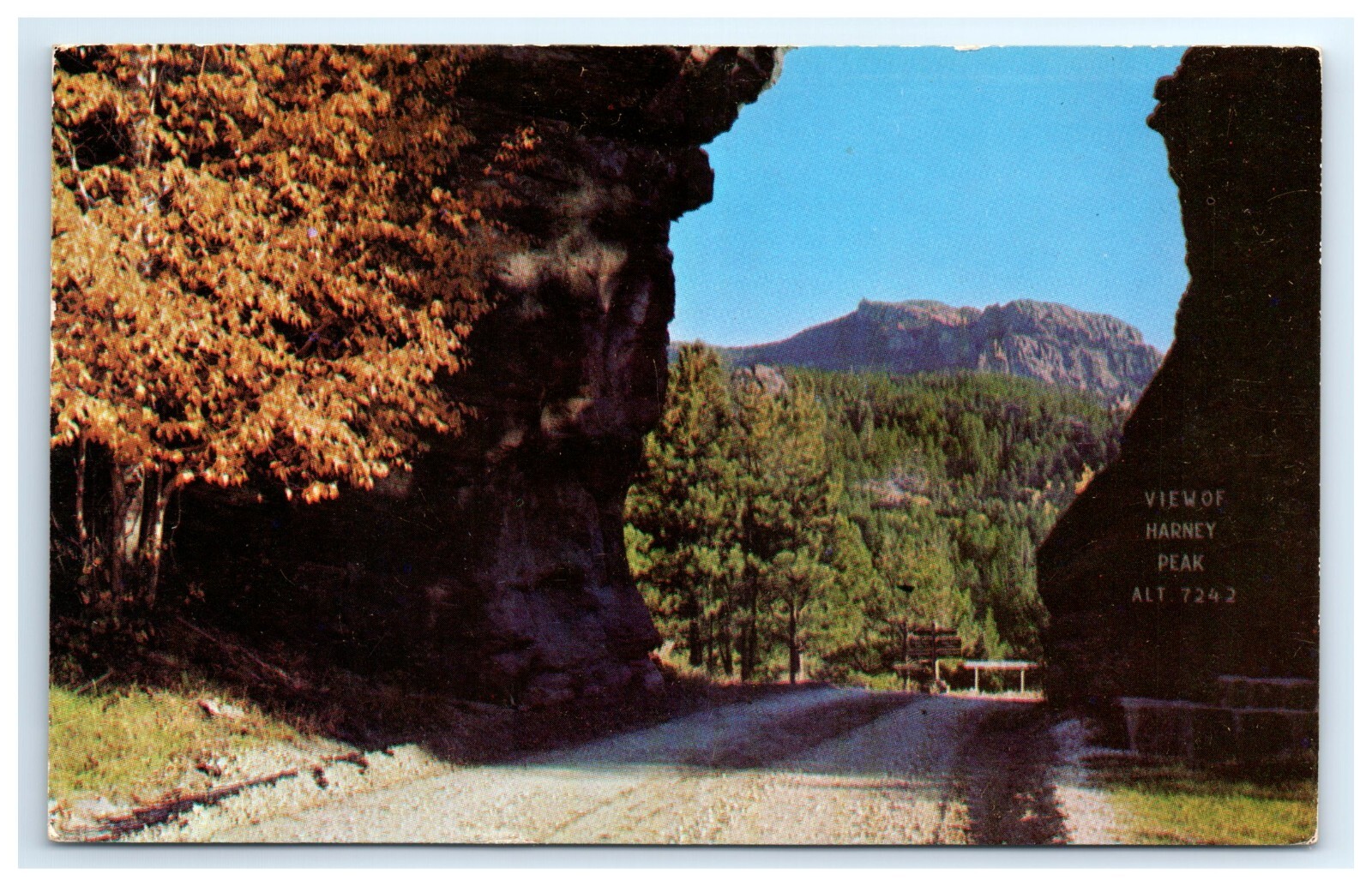 Postcard View of Harney Peak Road Way to Needles South Dakota Posted 1954
