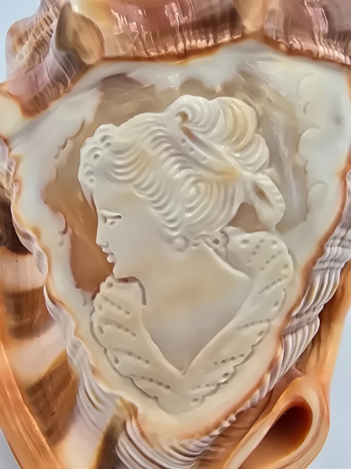 Large Hand Carved Seashell Cameo Figurine Victorian Lady Profile Decorative