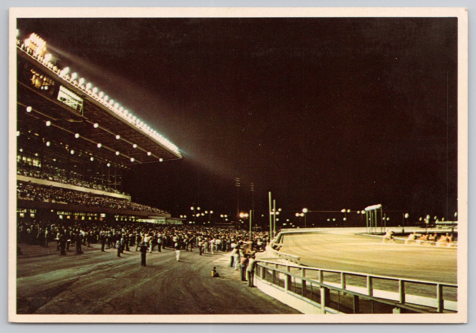 Postcard Roosevelt Raceway Westbury New York NY Night Harness Horse Racing