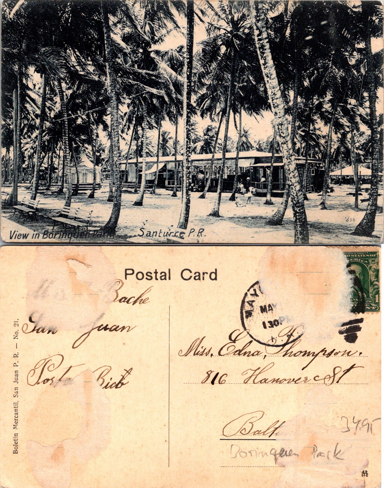 Santurce PR View in Borinquen Park, Palms (Black & White) Postcard 72288
