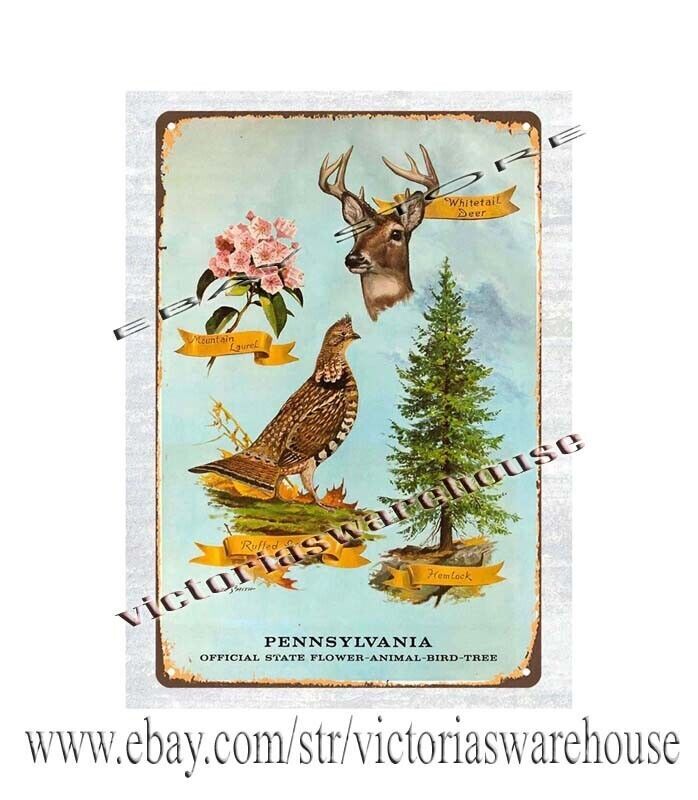 1960s Pennsylvania Game Commision Wildlife State Flower Animal Bird tin sign