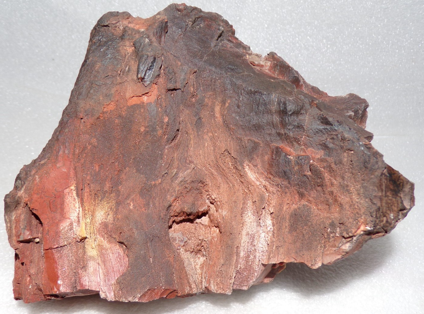 3 Lb 14 oz North Arizona Petrified Wood with well Defined Bark Texture w/Knot