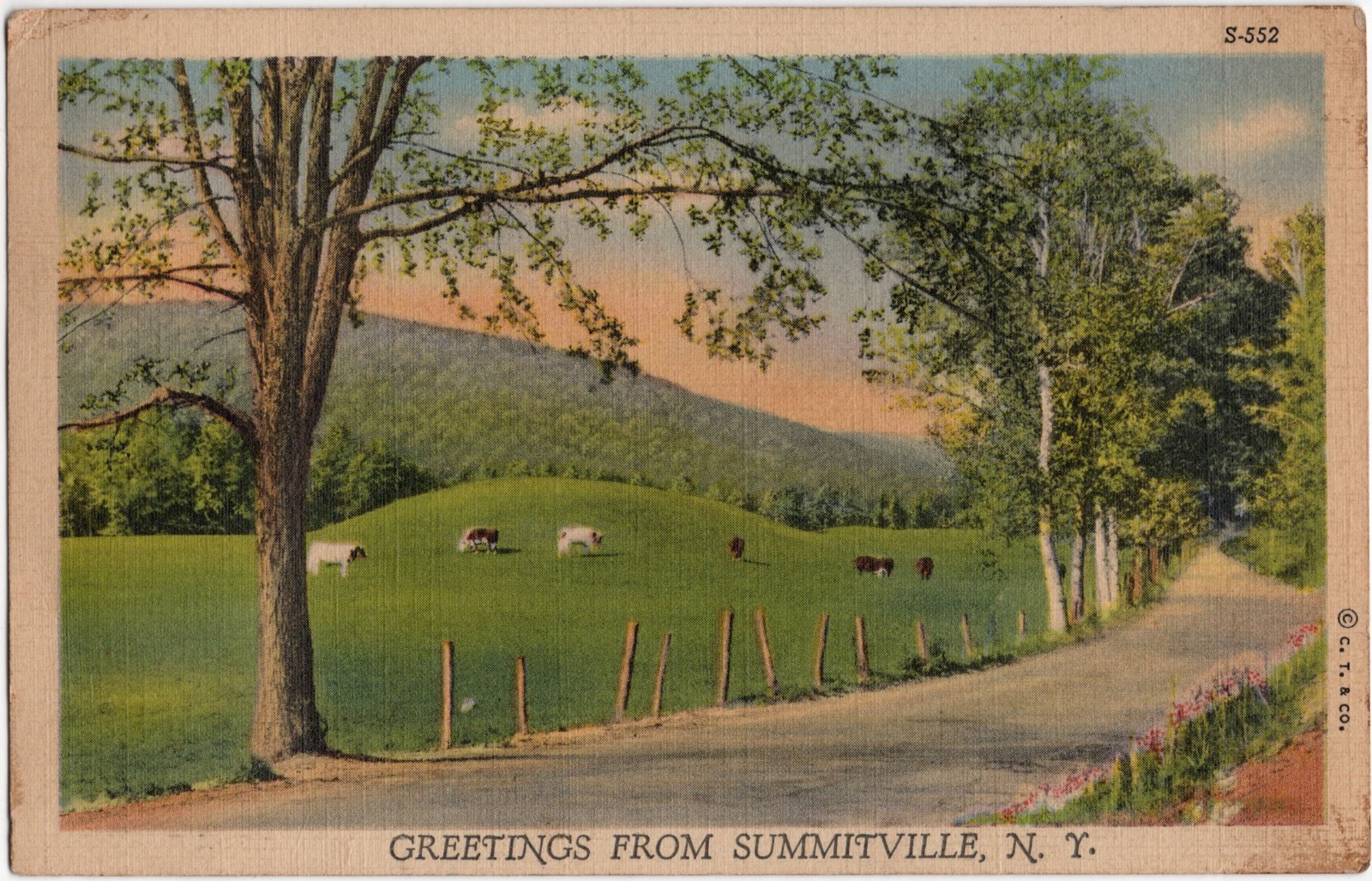 Vintage 1942 Greetings From Summitville NY Scenic Farm Road Postcard