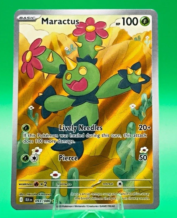 Pokémon TCG Maractus Black Bolt 093/086 Illustration Rare English-NM