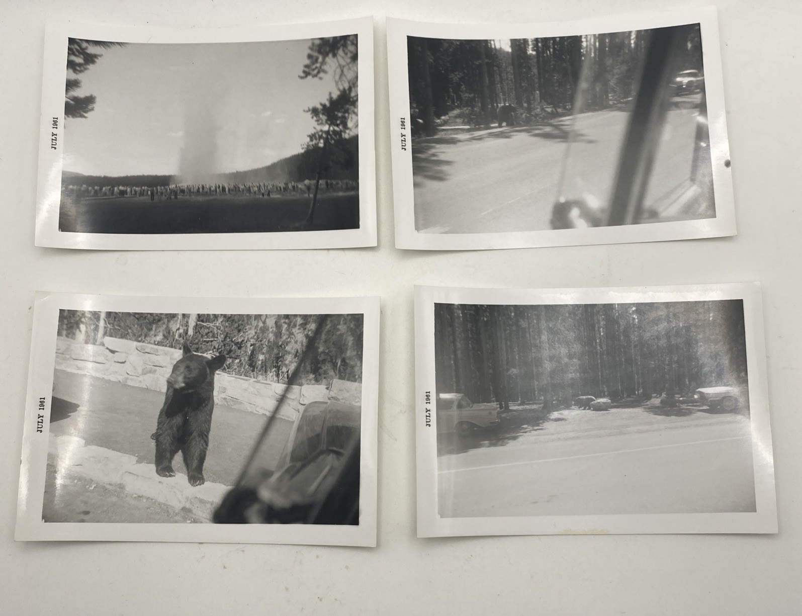 Vintage 1961 Yellowstone Photo Lot (13) Black Bear Jam Old Faithful Snapshot