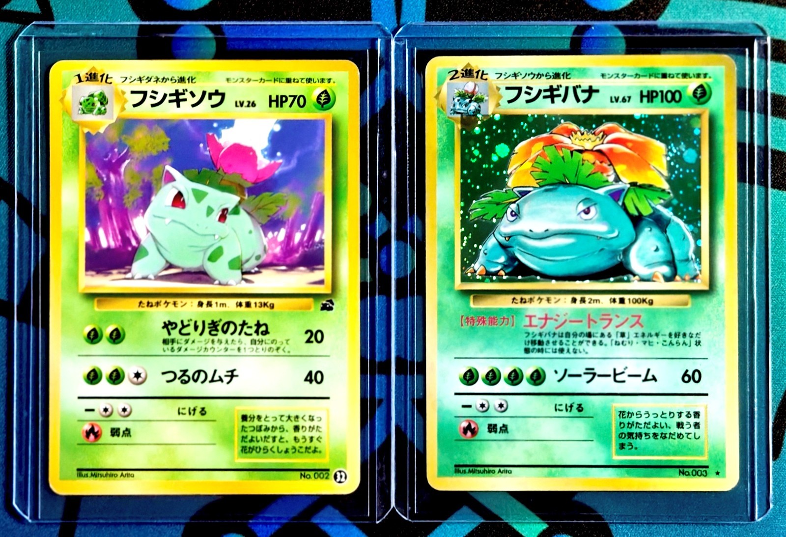 1996 Pokemon VENUSAUR HOLO Base Set + IVYSAUR Bulbasaur Deck | Vintage Japanese