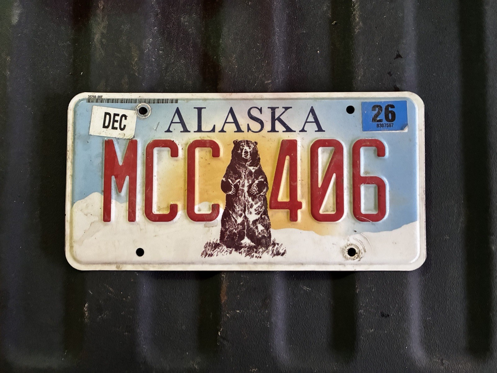 Alaska Kodiak Bear License Plate - Randomly Selected Plate Collectible