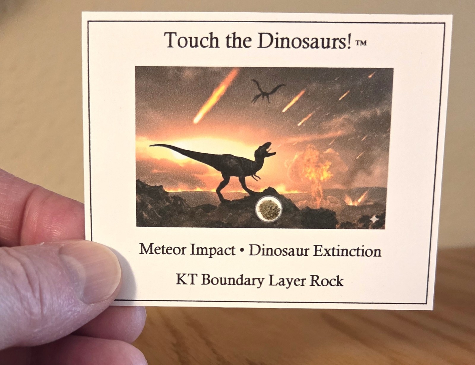 Dinosaur Extinction Mini-Museum Display. KT Boundary Rocks.  Authenticity Card