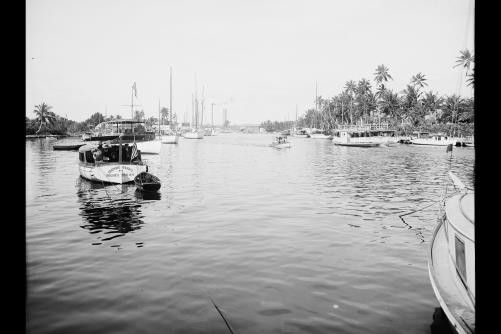 Photo:Miami Florida Miami River 1900s Boats Bay Biscayne Palmer Boat Dock