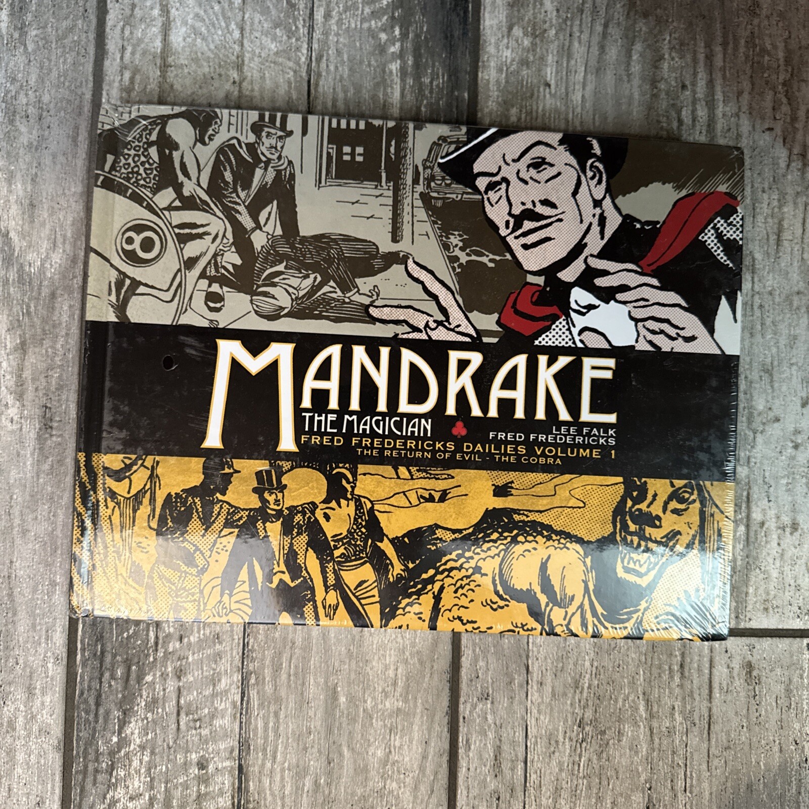 Lee Falk Mandrake the Magician: Fred Fredericks Dailies V (Hardback)