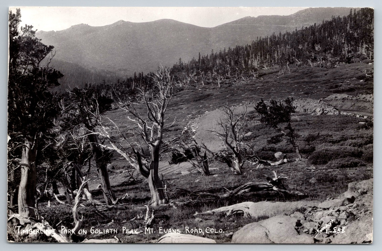 CO, Mt Evans Road, Park on Goliath Peak, Real Photo, RPPC, Vintage Postcard