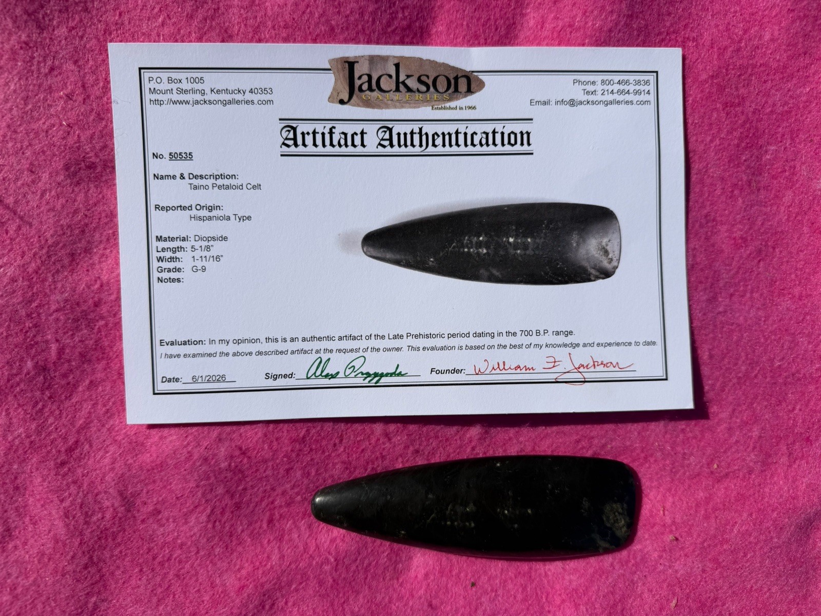 Rare Native American Pre Columbian Carved Taino Celt COA