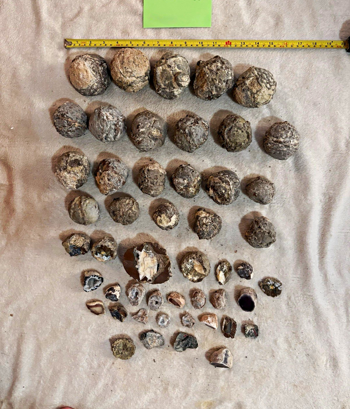 Thunder Eggs Rough Rock & Mineral Nodule Lot, Mixed Sizes, Geodes? See Photos