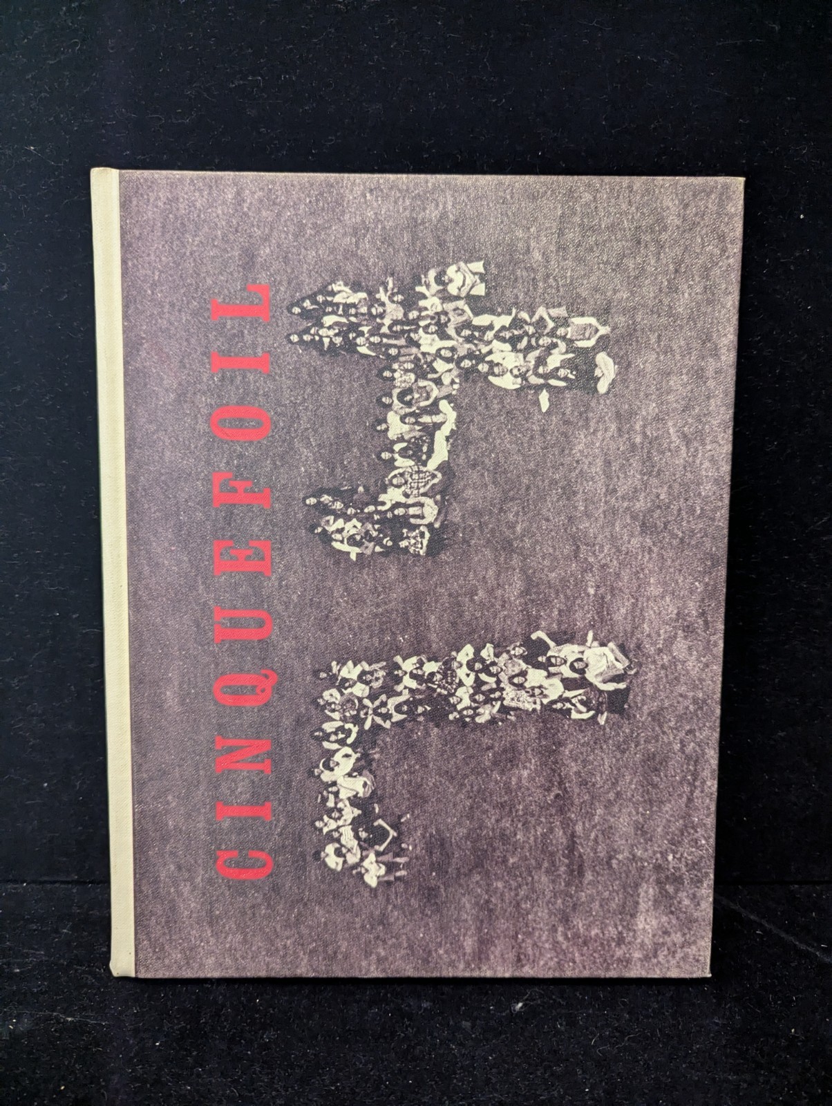 Hampshire Regional Highschool Yearbook 1974 Cinquefoil - Westhampton, MA