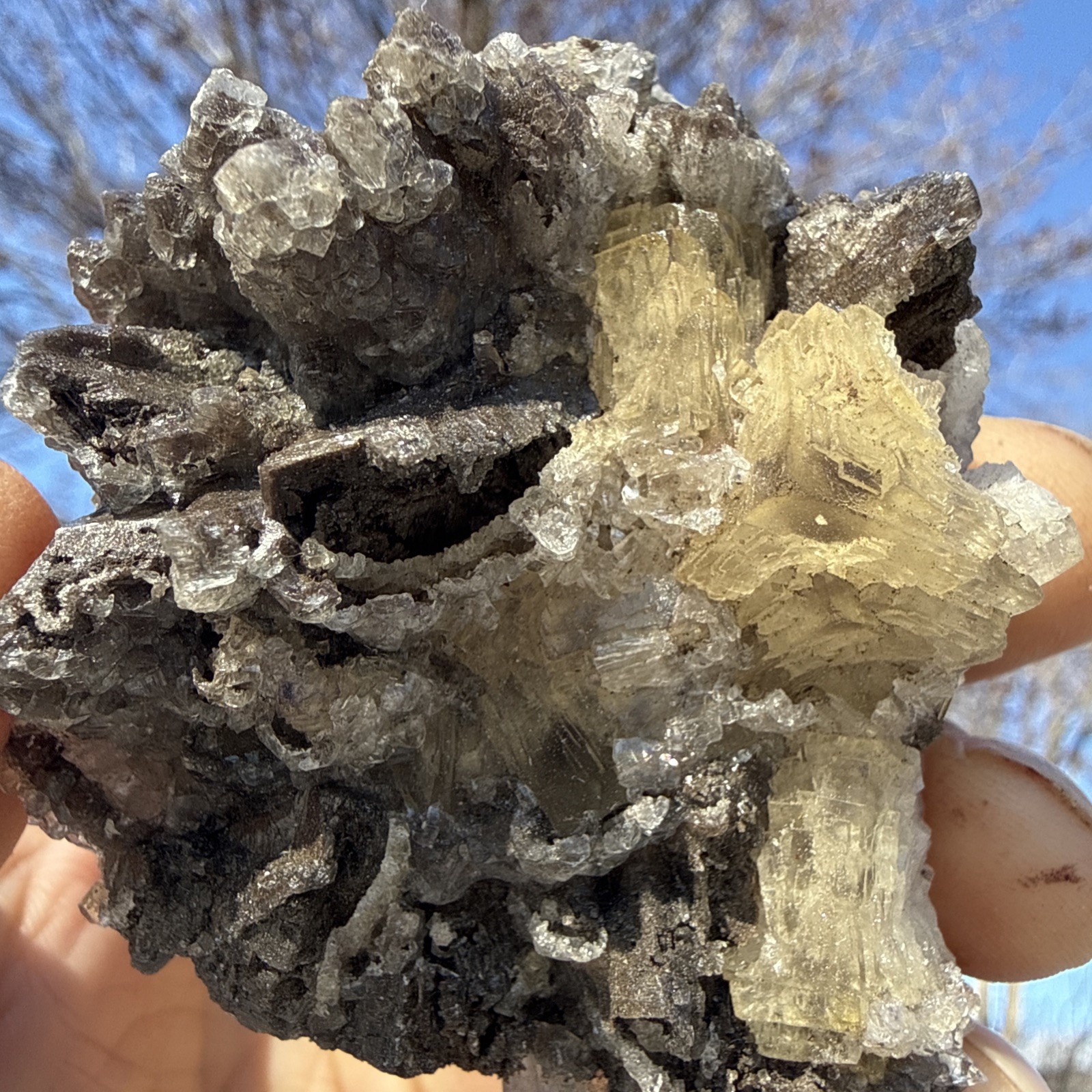 Natural Dogtooth Calcite W/ Cubic Fluorite  & Selenite Specimen UV Minerals 