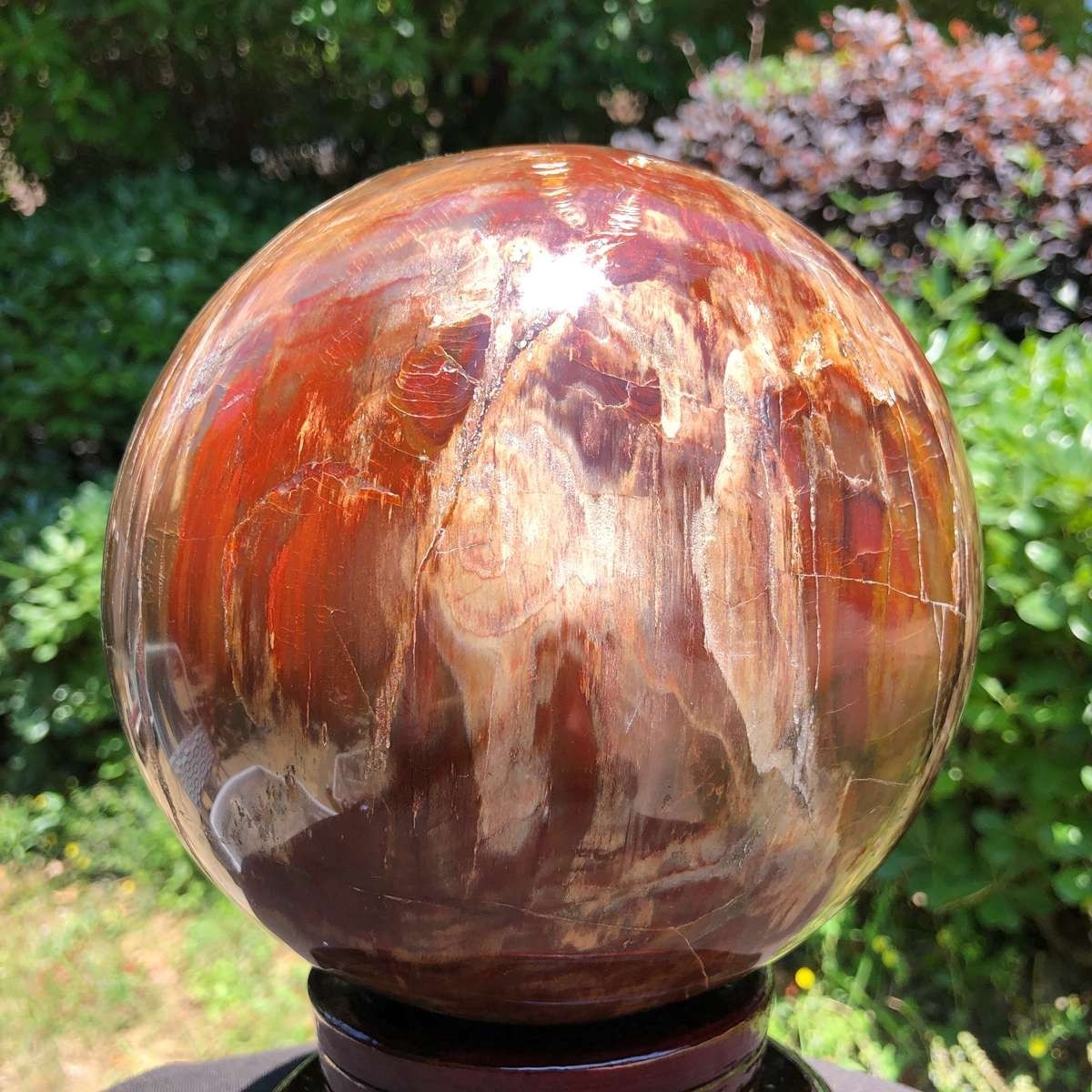 11.94LB Natural Patterns Petrified Wood Sphere Polished Crystal Ball healing