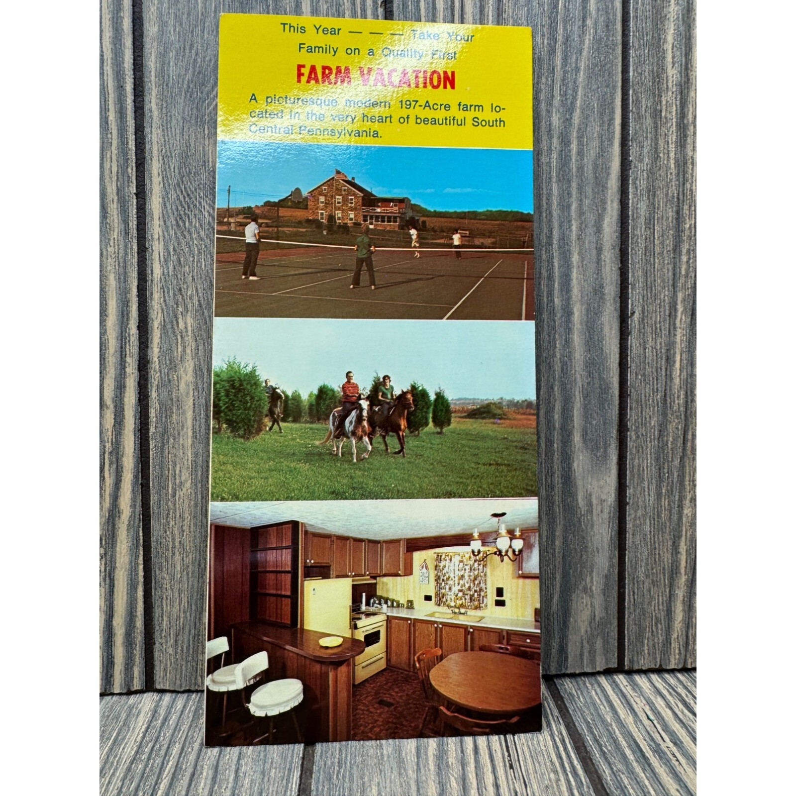 Rock Ford Plantation Historic 18th Century Home Brochure - Lancaster PA