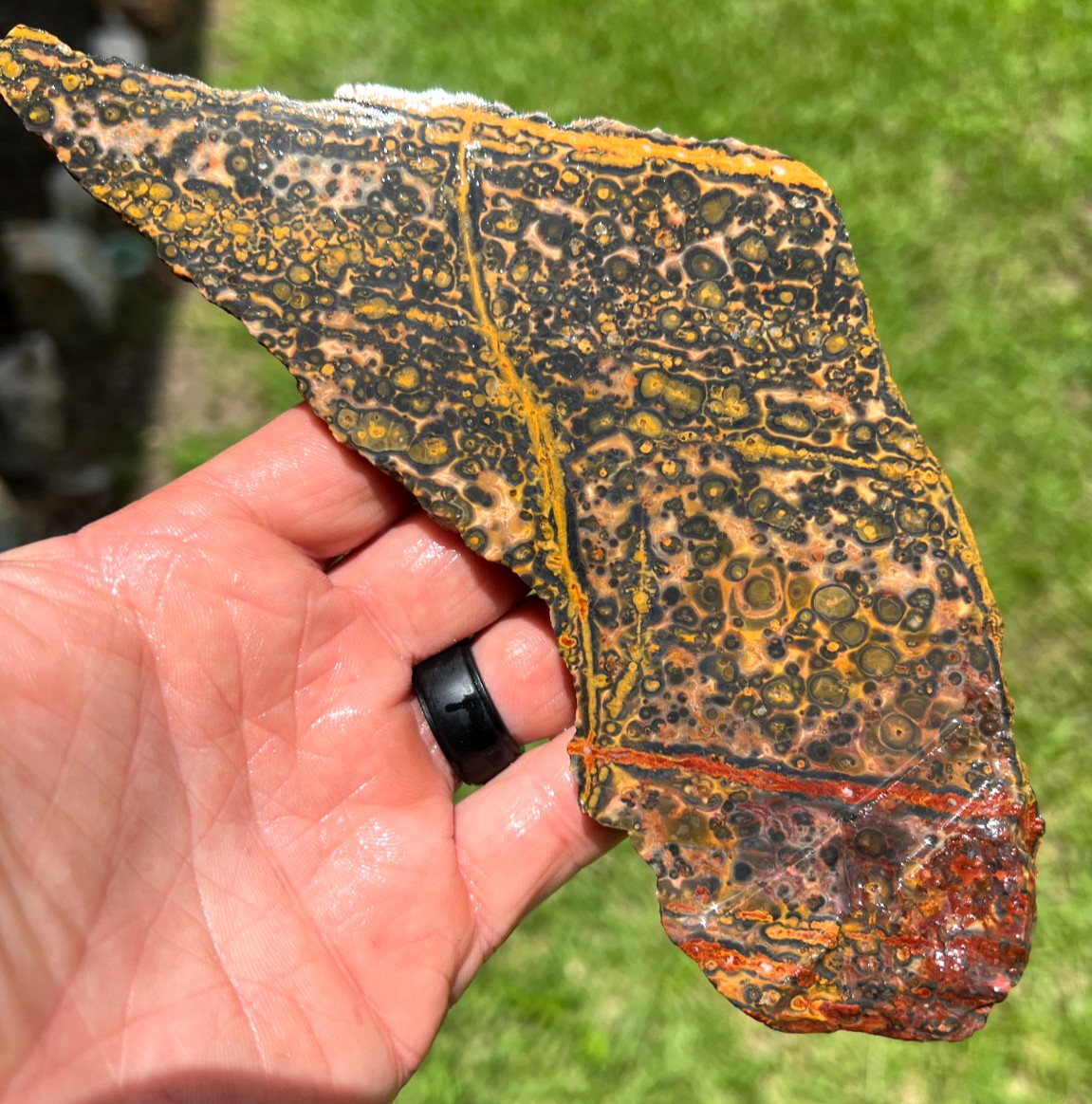 Yellow Leopard Skin Jasper Slab - Large -  197g