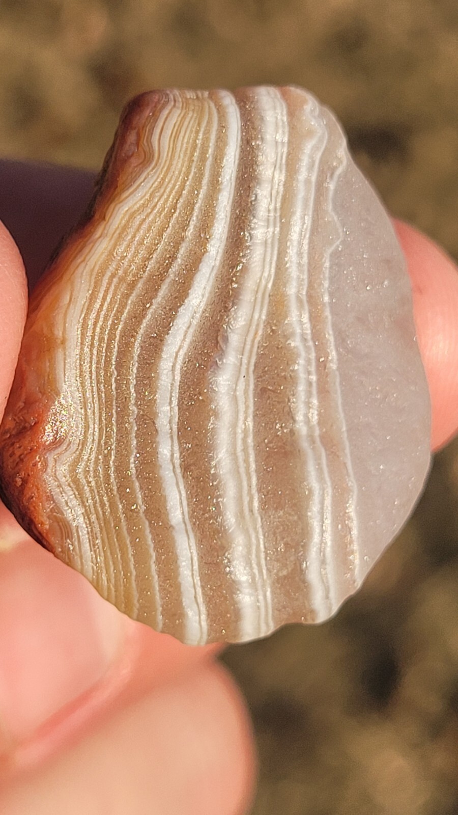 Beautiful 0.8oz Lake Superior Agate LSA - Small but Killer Banded Floater