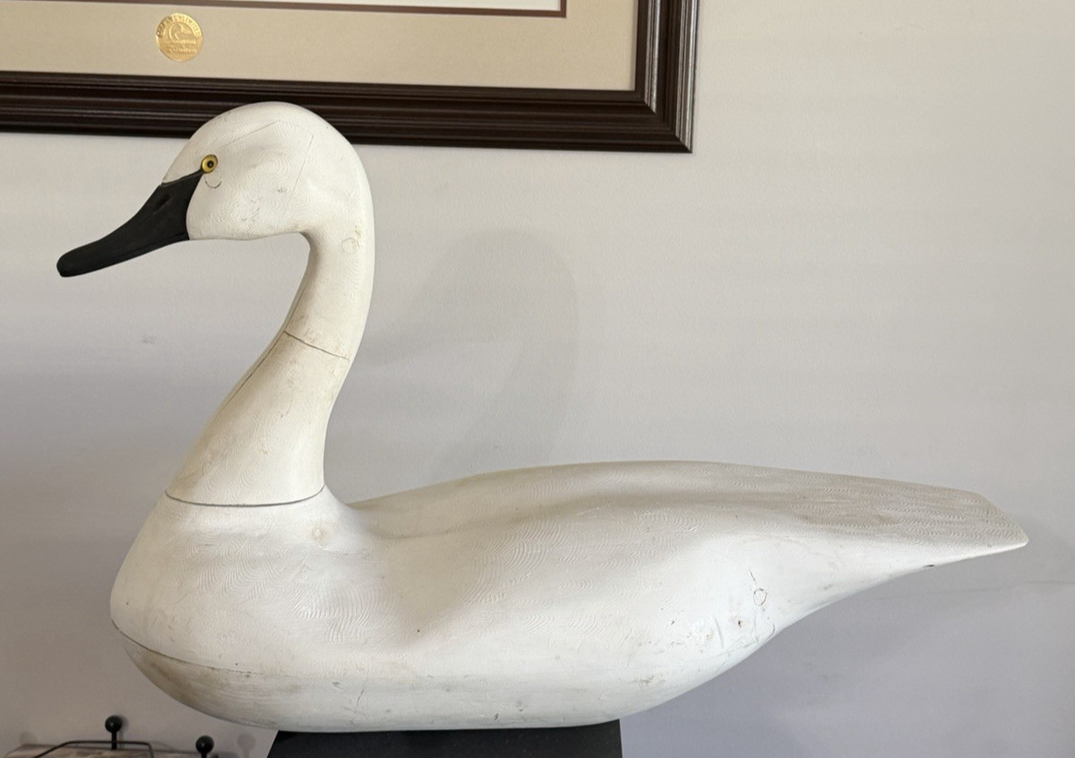 Vintage Large Hand Carved Wooden White Swan Decoy with Removable head