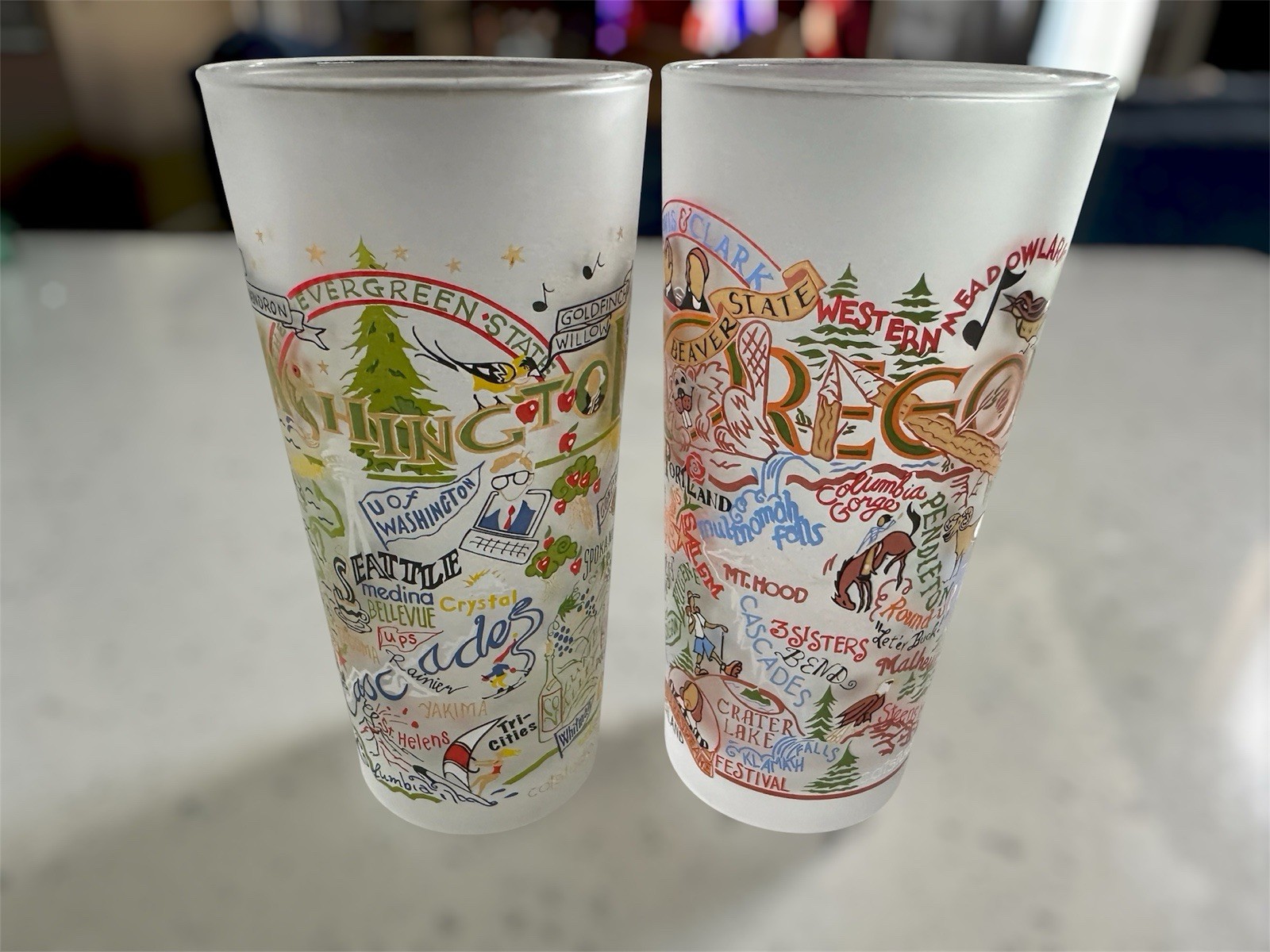 Catstudio Frosted  Oregon Washington State Glass Tumbler Cities Landmarks 15 Oz
