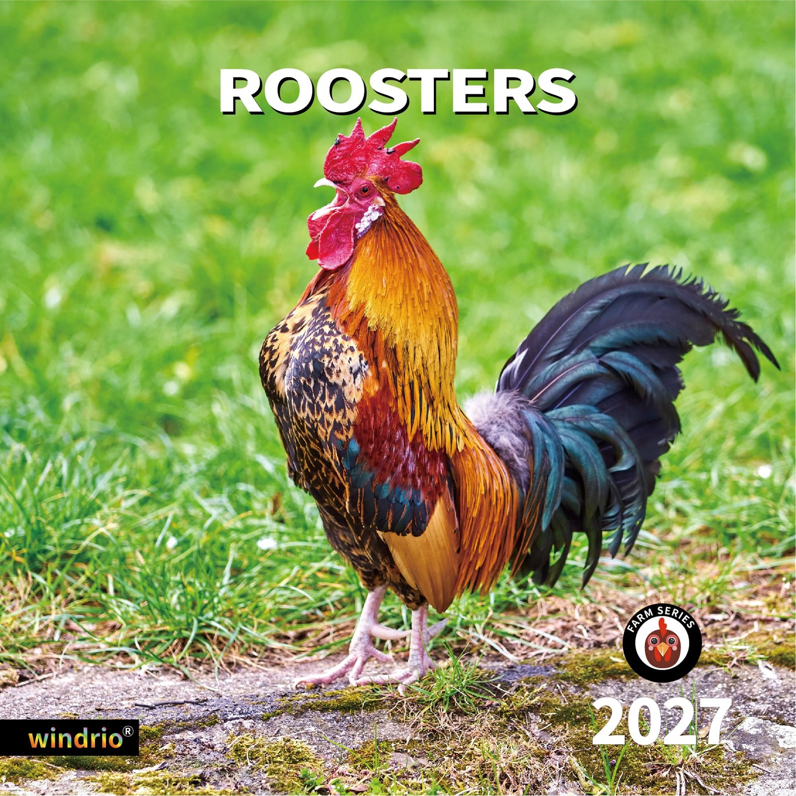 windrio 2026-2027 Wall Calendar Roosters windrio 2026-2027 Wall Calendar Roosters
