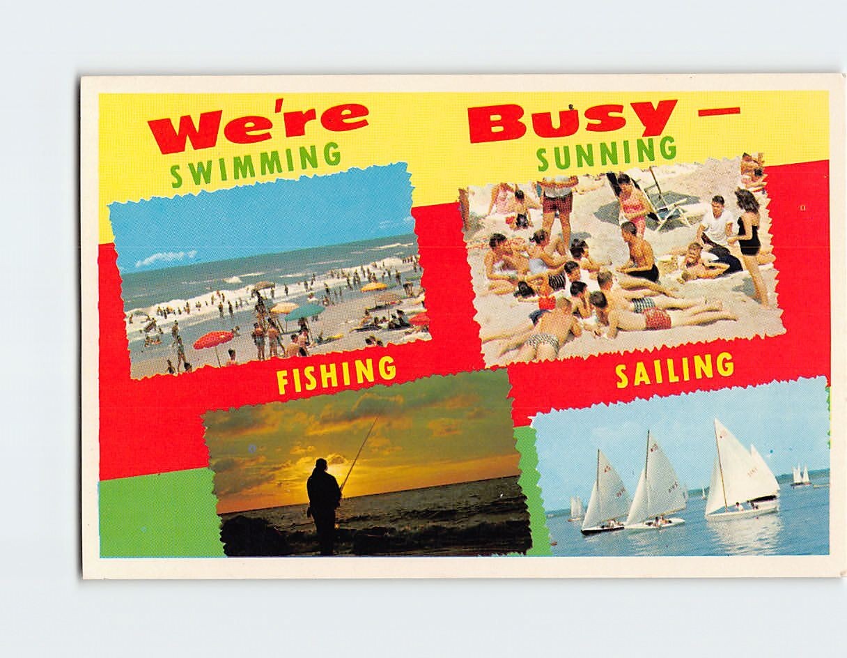 Postcard Were Busy Swimming Stunning Fishing Sailing