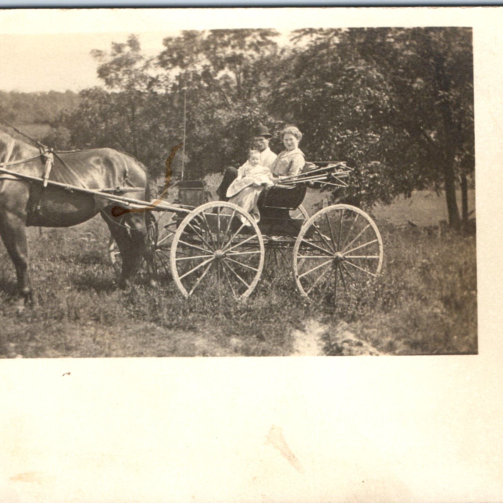 c1910s Family in Horse Carriage RPPC Cute Baby Girl Mother Parents Real Photo PC
