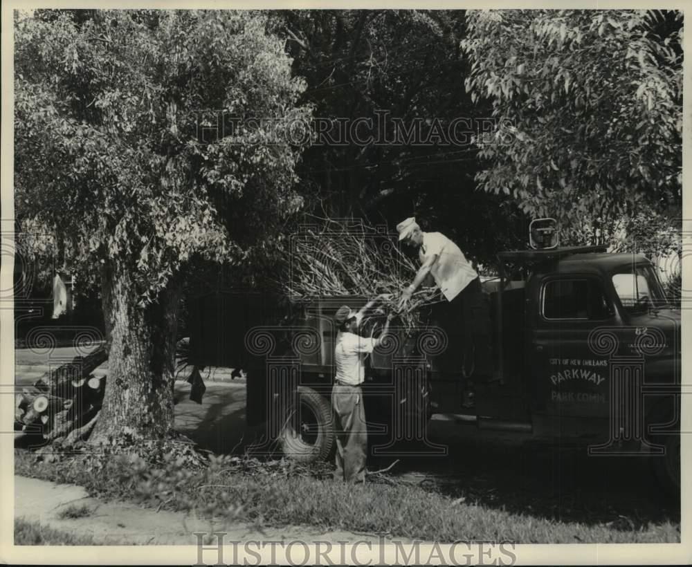 1962 Press Photo Parkway & Parks Commission removing small branches from street.