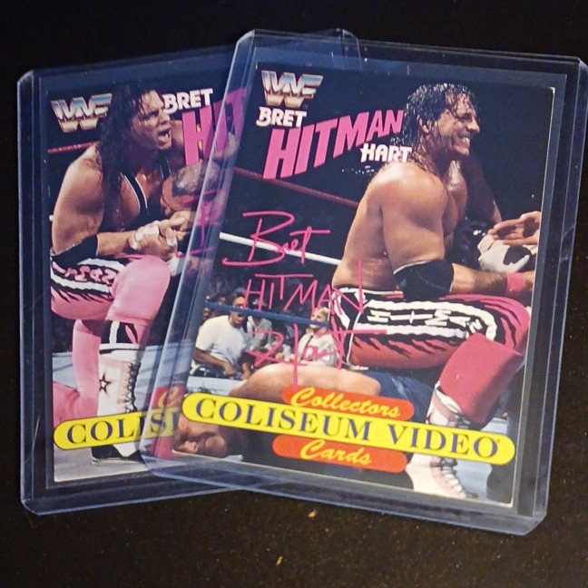 WWF 1994 Bret 