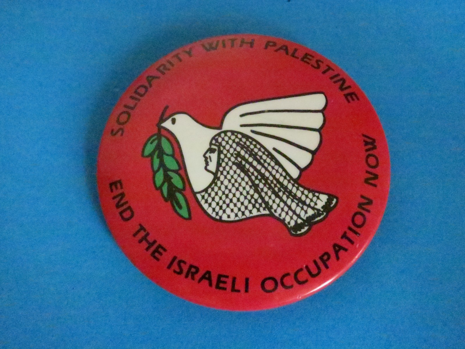 Solidarity With Palestine End the Israeli Occupation Now Protest Pin Button