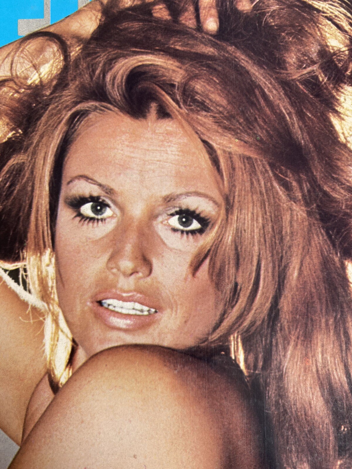 CUTOUTS/CLIPPINGS-ISABEL SARLI, MARSHA JORDAN, USCHI DIGART, CLAUDINE BECCARIE