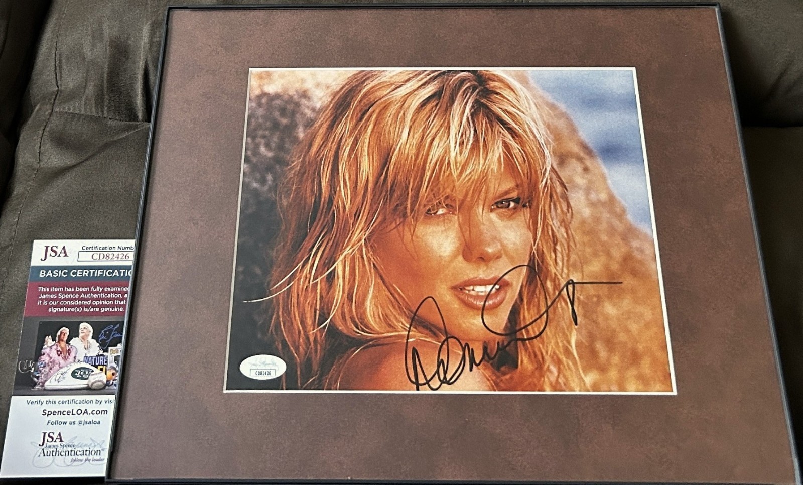 Donna D'Errico signed Baywatch 8x10 photo matted framed JSA COA Playboy Playmate