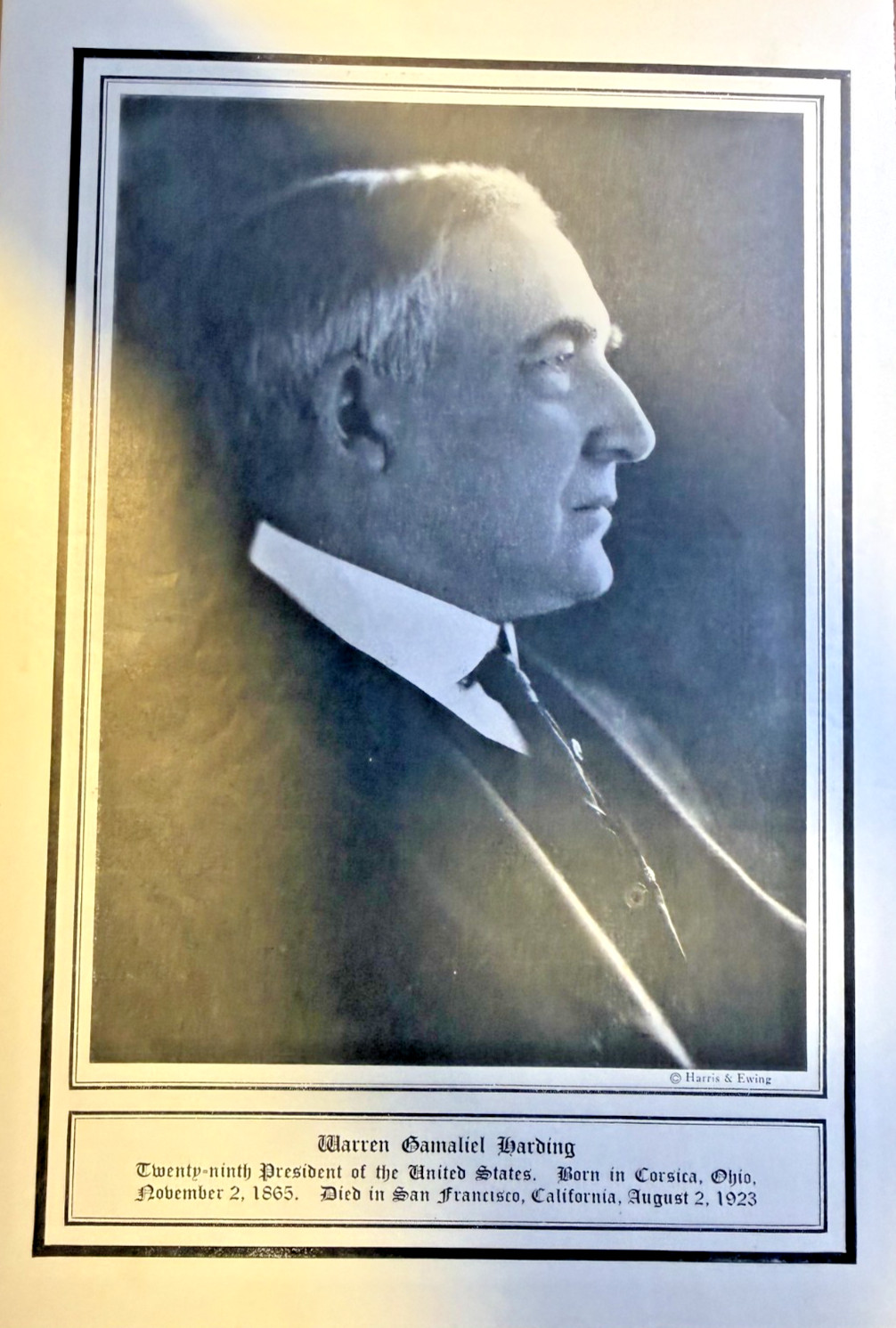 1923 Vintage Magazine Illustration President Warren G. Harding