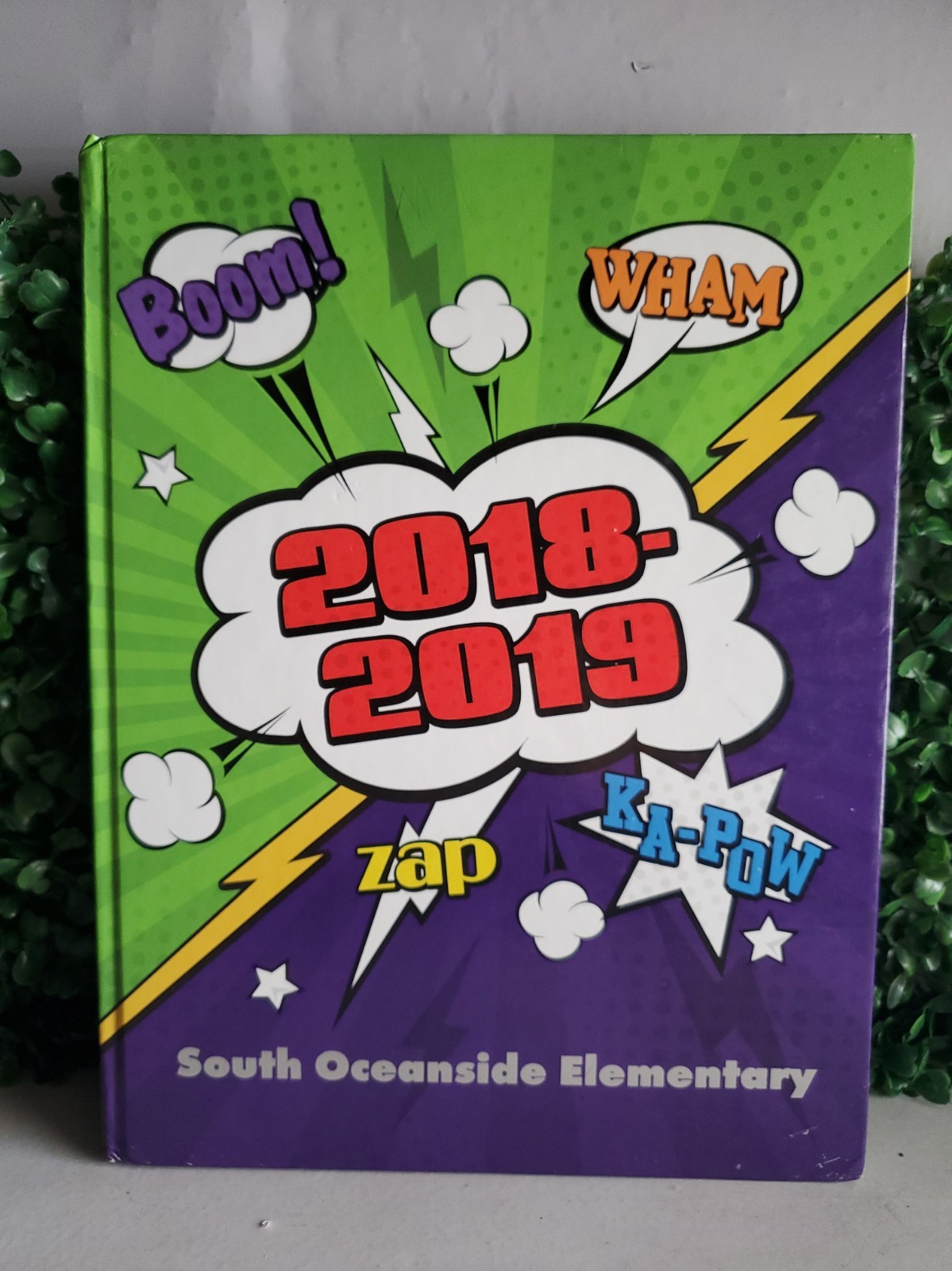 South Oceanside Elementary School Yearbook 2018-2019 Oceanside California
