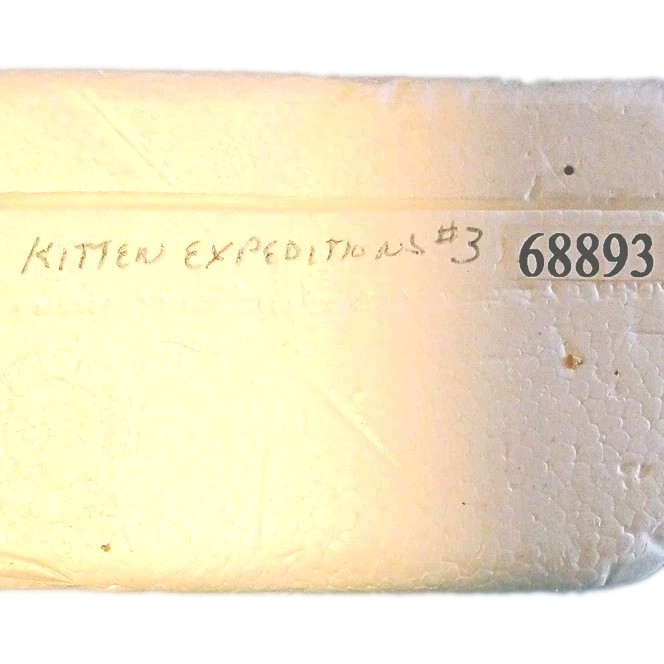 The Bradford Editions Kitten Expeditions Porcelain Ball Ornament Kitten 1999