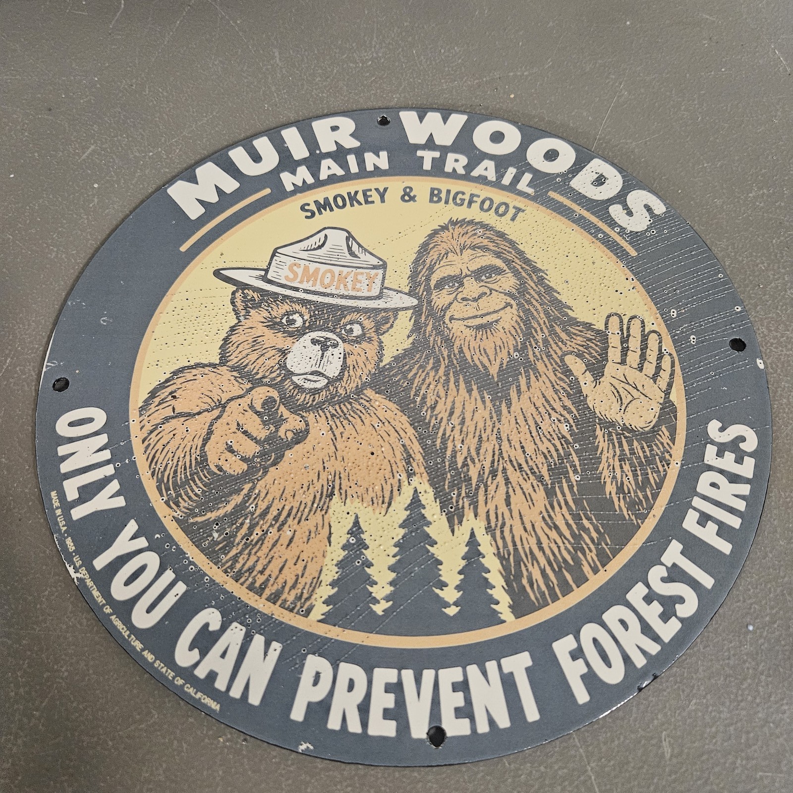 VINTAGE 1955 MUIR WOODS 12\
